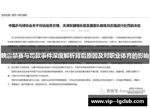 魏震禁赛与罚款事件深度解析背后原因及对职业体育的影响